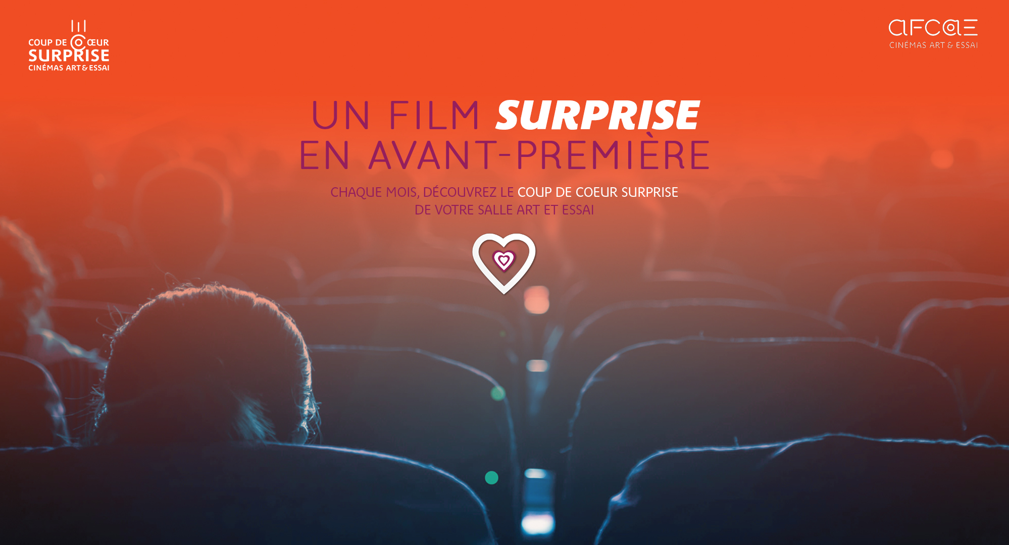 Coup de coeur surprise